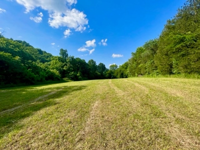 Tennessee Riverfront Property Great for Kayaking & Fishing - image 11
