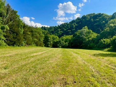 Tennessee Riverfront Property Great for Kayaking & Fishing - image 12
