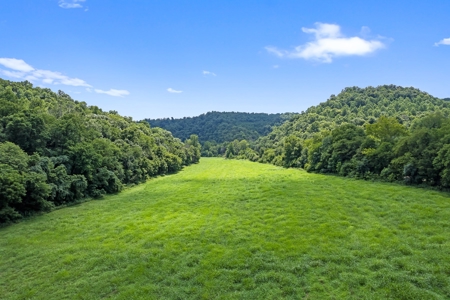 Tennessee Riverfront Property Great for Kayaking & Fishing - image 34