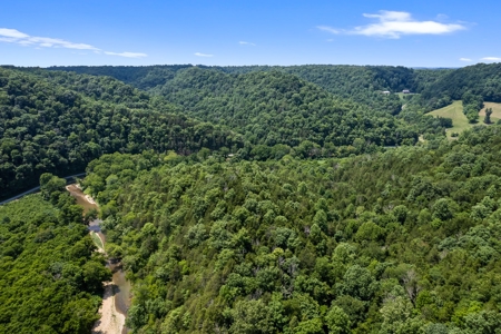 Tennessee Riverfront Property Great for Kayaking & Fishing - image 38