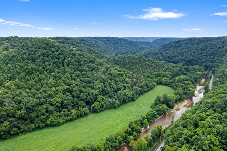 Tennessee Riverfront Property Great for Kayaking & Fishing - image 30