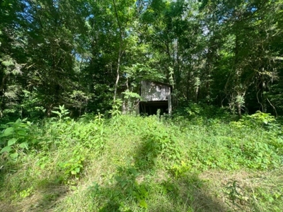 Tennessee Riverfront Property Great for Kayaking & Fishing - image 15