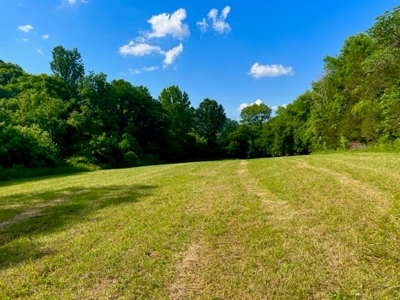 Tennessee Riverfront Property Great for Kayaking & Fishing - image 10