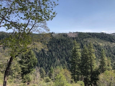 Northern California Recreational Properties w/Homes for Sale - image 14