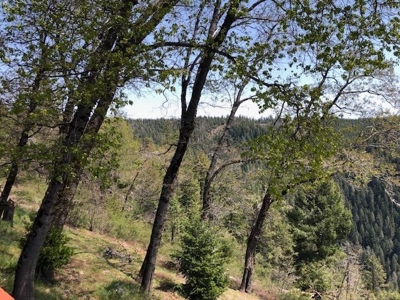 Northern California Recreational Properties w/Homes for Sale - image 12