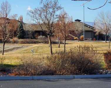 Grand Junction large mixed use Development property. - image 9