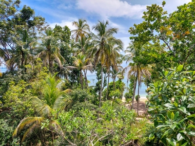 Surfer's DREAM Cabin, Bocas del Toro Panama - image 27