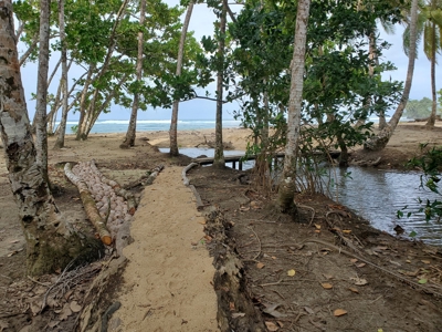 Surfer's DREAM Cabin, Bocas del Toro Panama - image 6