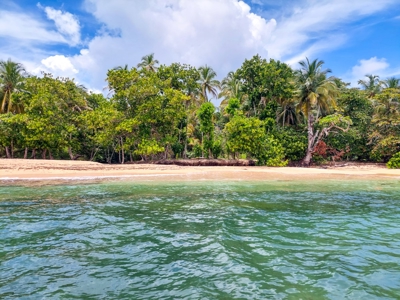 Surfer's DREAM Cabin, Bocas del Toro Panama - image 33