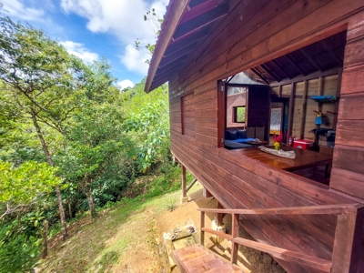 Surfer's DREAM Cabin, Bocas del Toro Panama - image 23