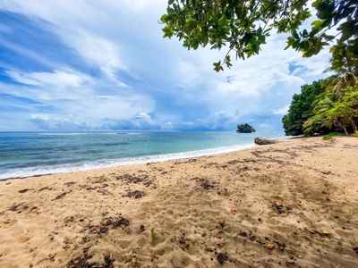 Surfer's DREAM Cabin, Bocas del Toro Panama - image 31