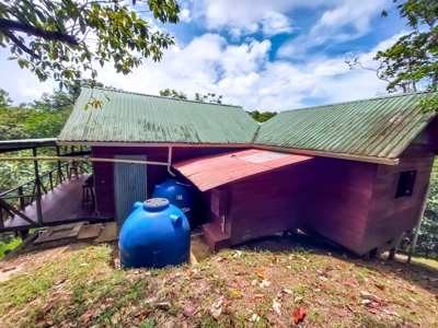 Surfer's DREAM Cabin, Bocas del Toro Panama - image 20
