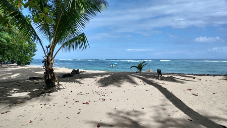 Surfer's DREAM Cabin, Bocas del Toro Panama - image 1