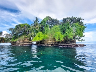 Surfer's DREAM Cabin, Bocas del Toro Panama - image 13