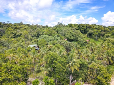 Surfer's DREAM Cabin, Bocas del Toro Panama - image 10
