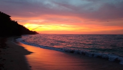 Surfer's DREAM Cabin, Bocas del Toro Panama