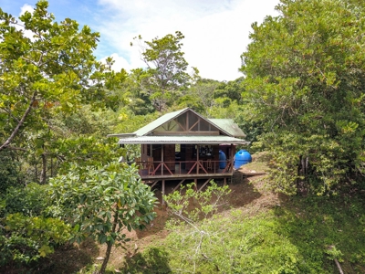 Surfer's DREAM Cabin, Bocas del Toro Panama - image 8