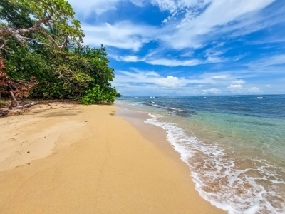 Surfer's DREAM Cabin, Bocas del Toro Panama - image 32