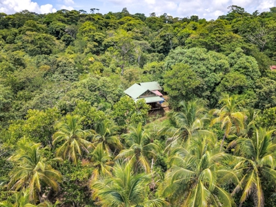 Surfer's DREAM Cabin, Bocas del Toro Panama - image 11