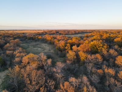 Land Ranch For Sale Oklahoma Waurika Jefferson Co Hunting - image 38