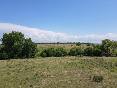 Land Ranch For Sale Oklahoma Waurika Jefferson Co Hunting - image 11