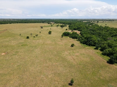 Land Ranch For Sale Oklahoma Waurika Jefferson Co Hunting - image 7