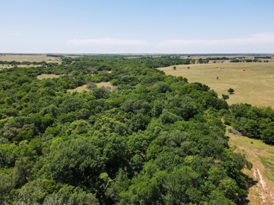 Land Ranch For Sale Oklahoma Waurika Jefferson Co Hunting - image 5