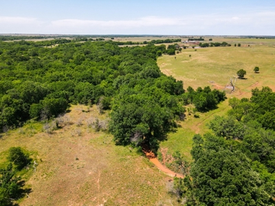 Land Ranch For Sale Oklahoma Waurika Jefferson Co Hunting - image 6