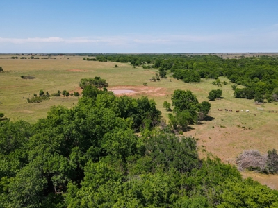 Land Ranch For Sale Oklahoma Waurika Jefferson Co Hunting - image 23