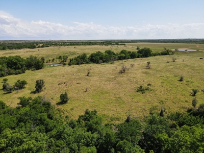 Land Ranch For Sale Oklahoma Waurika Jefferson Co Hunting - image 26