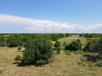 Land Ranch For Sale Oklahoma Waurika Jefferson Co Hunting - image 18