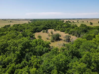 Land Ranch For Sale Oklahoma Waurika Jefferson Co Hunting - image 22