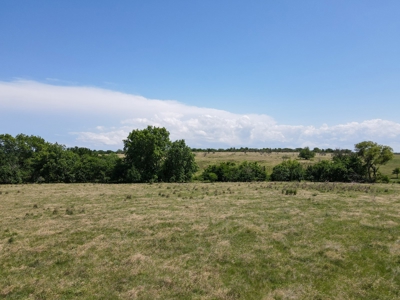 Land Ranch For Sale Oklahoma Waurika Jefferson Co Hunting - image 10