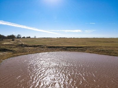 Land Ranch For Sale Oklahoma Waurika Jefferson Co Hunting - image 30