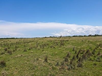 Land Ranch For Sale Oklahoma Waurika Jefferson Co Hunting - image 12