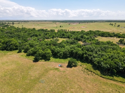 Land Ranch For Sale Oklahoma Waurika Jefferson Co Hunting - image 8