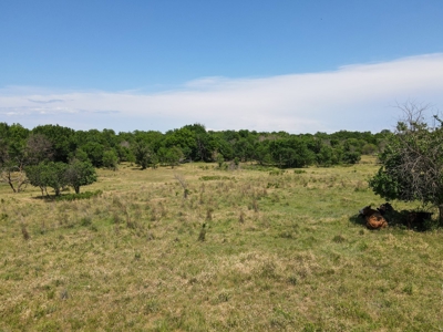 Land Ranch For Sale Oklahoma Waurika Jefferson Co Hunting - image 16