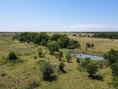 Land Ranch For Sale Oklahoma Waurika Jefferson Co Hunting - image 14