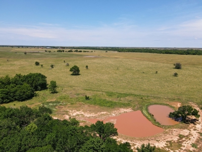 Land Ranch For Sale Oklahoma Waurika Jefferson Co Hunting - image 2