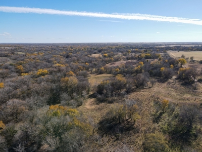 Land Ranch For Sale Oklahoma Waurika Jefferson Co Hunting - image 31