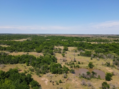 Land Ranch For Sale Oklahoma Waurika Jefferson Co Hunting - image 19