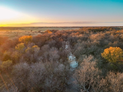 Land Ranch For Sale Oklahoma Waurika Jefferson Co Hunting - image 39