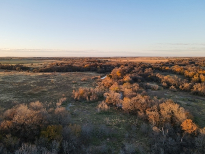 Land Ranch For Sale Oklahoma Waurika Jefferson Co Hunting - image 37