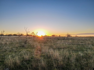 Land Ranch For Sale Oklahoma Waurika Jefferson Co Hunting - image 41