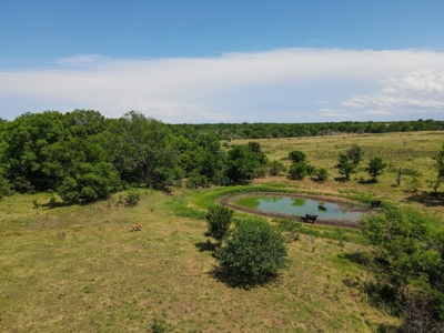 Land Ranch For Sale Oklahoma Waurika Jefferson Co Hunting - image 15