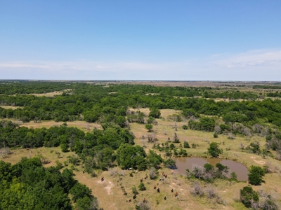 Land Ranch For Sale Oklahoma Waurika Jefferson Co Hunting - image 20