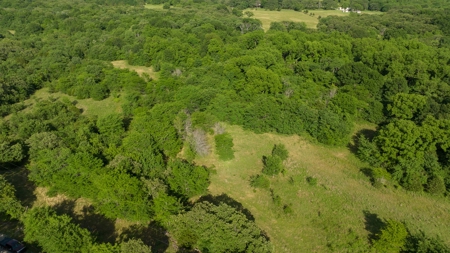 For Sale 267 Acres With Over 1 Mile Hwy 69/75 Rd Frontage - image 22