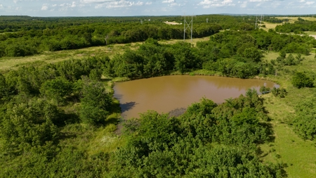 For Sale 267 Acres With Over 1 Mile Hwy 69/75 Rd Frontage - image 10