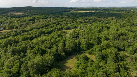 For Sale 267 Acres With Over 1 Mile Hwy 69/75 Rd Frontage - image 20