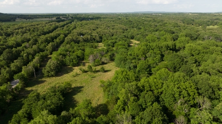 For Sale 267 Acres With Over 1 Mile Hwy 69/75 Rd Frontage - image 21